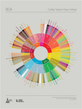 Load image into Gallery viewer, The Coffee Taster's Flavor Wheel Poster